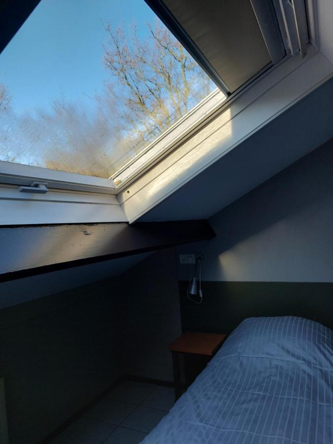 Boszicht 4 Appartement In Oostkapelle Eksteriør billede